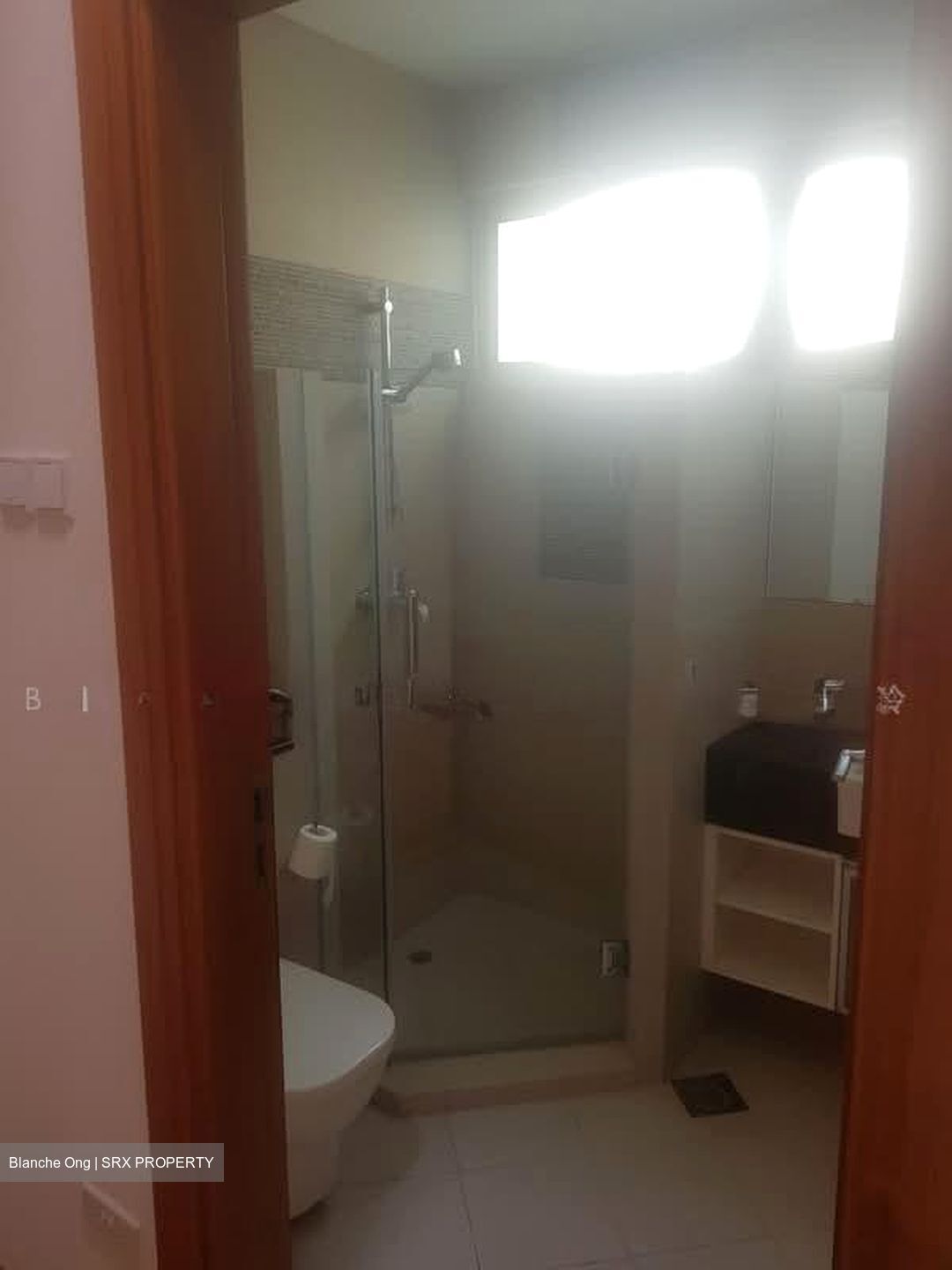 Shamrock Park (D10), Semi-Detached #602211031